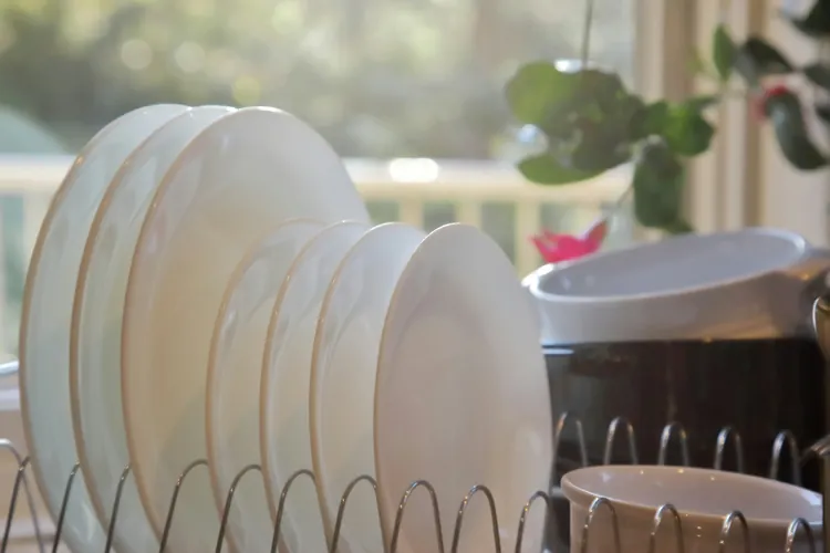 White plates drying in a dish rack near a sunny window